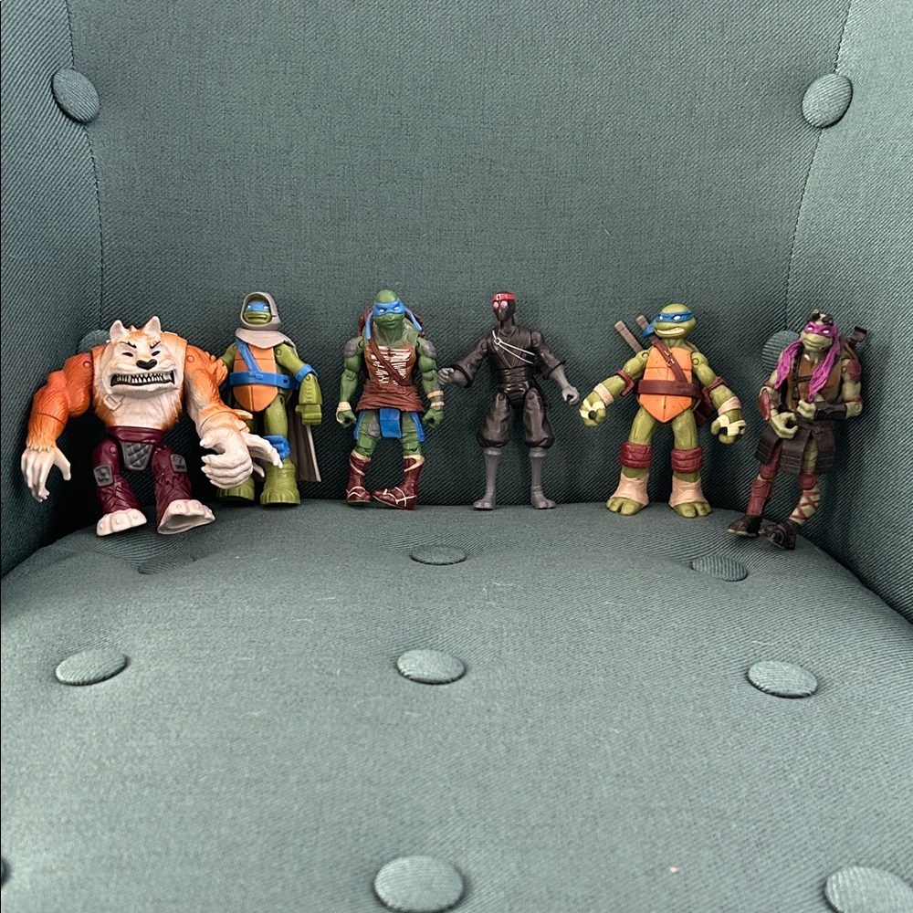Teenage mutant ninja turtles